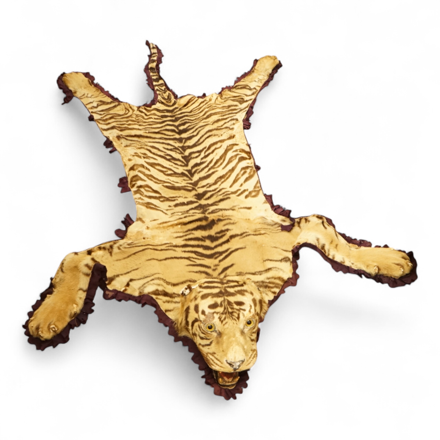 A taxidermy tiger skin rug, early 20th century